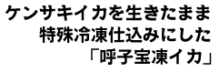 ケンサキイカを生きたまま 特殊冷凍仕込みにした 「呼子宝凍イカ」